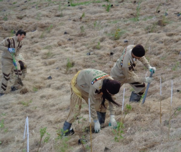 ???????????????????????????????