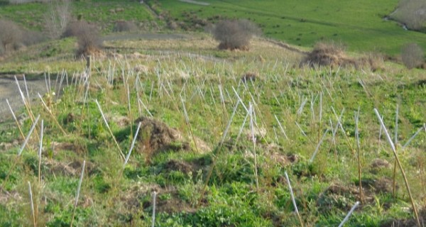 ???????????????????????????????