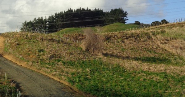 ???????????????????????????????