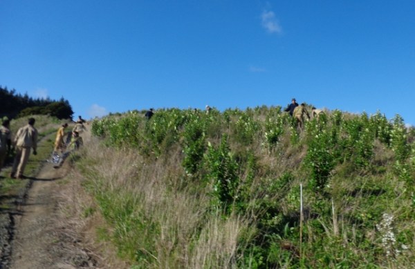 ???????????????????????????????