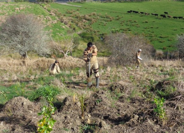 ???????????????????????????????