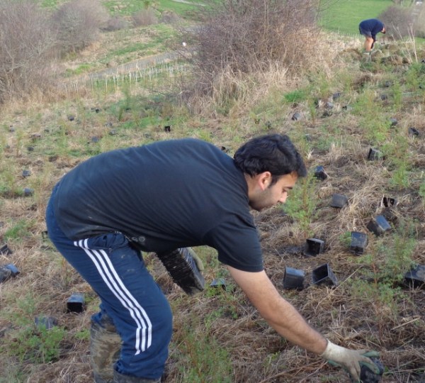 ???????????????????????????????