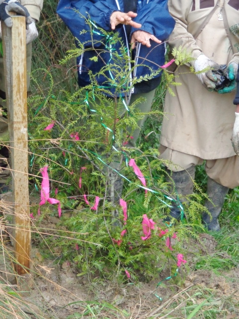 ???????????????????????????????