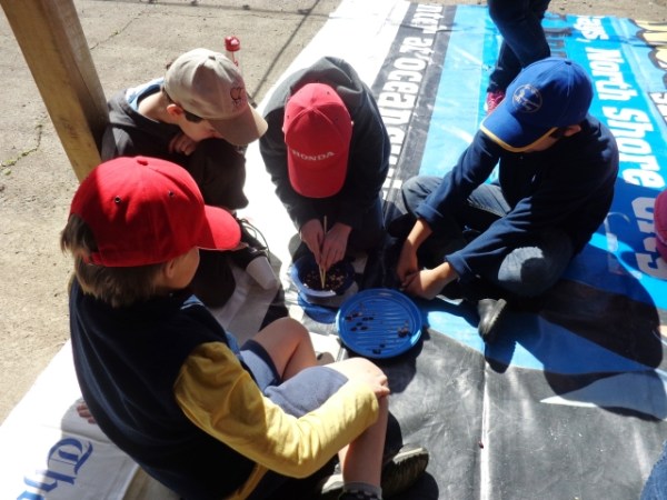 ???????????????????????????????