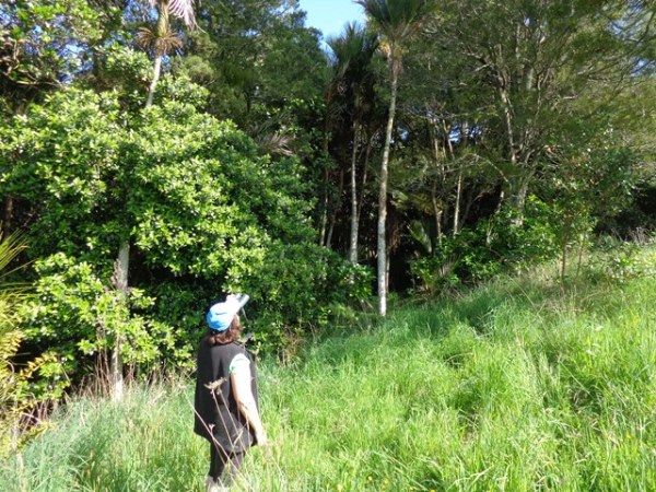 ???????????????????????????????