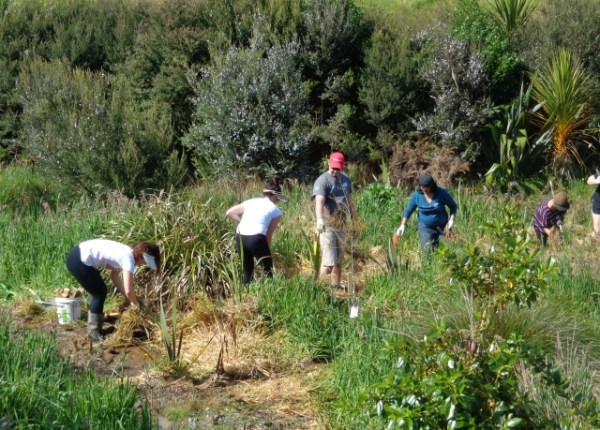 ???????????????????????????????