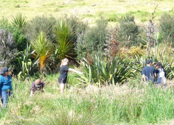 ???????????????????????????????