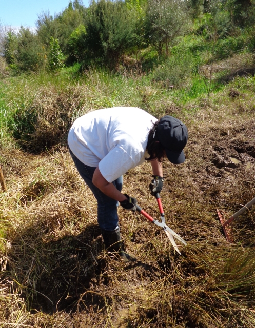 ???????????????????????????????