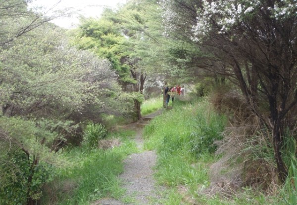 ???????????????????????????????