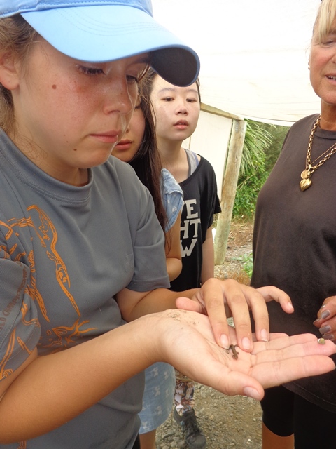 ???????????????????????????????