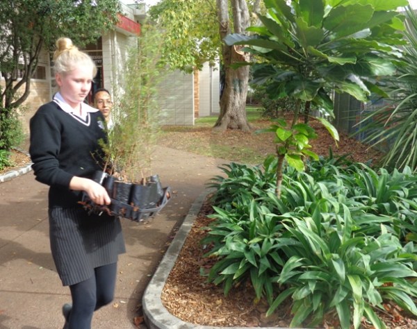 ???????????????????????????????