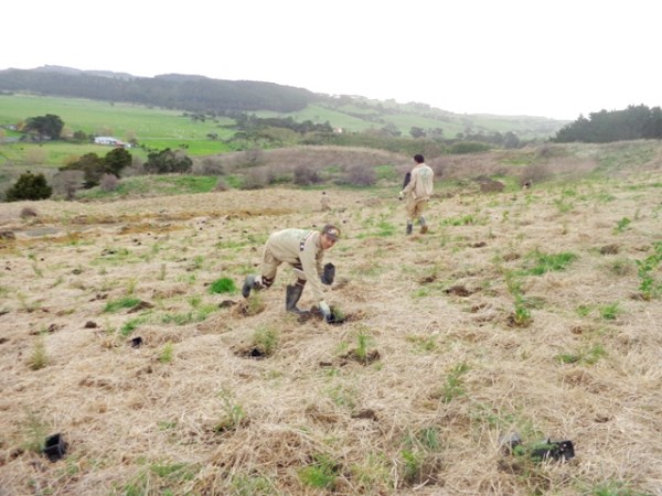 ???????????????????????????????