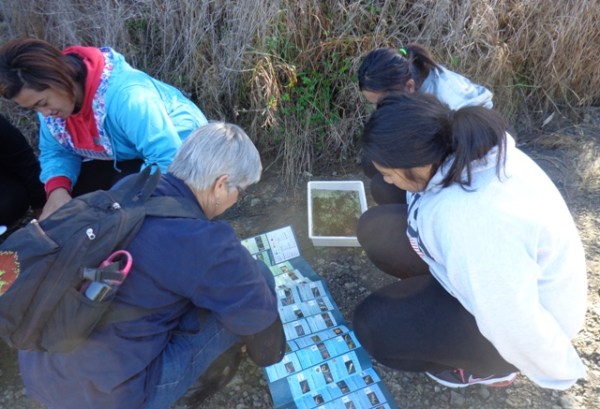 ???????????????????????????????