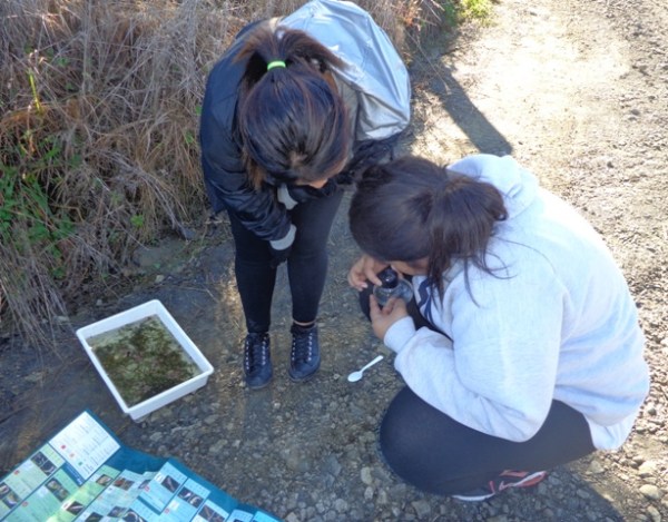 ???????????????????????????????