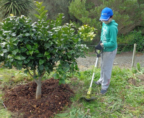 ???????????????????????????????