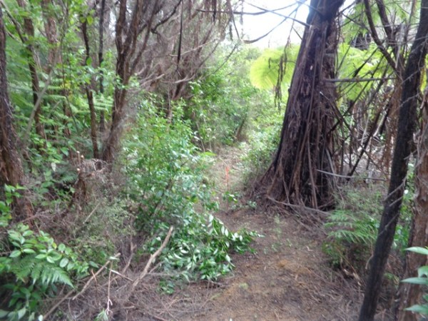 ???????????????????????????????