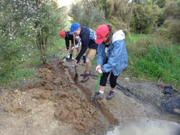 ???????????????????????????????