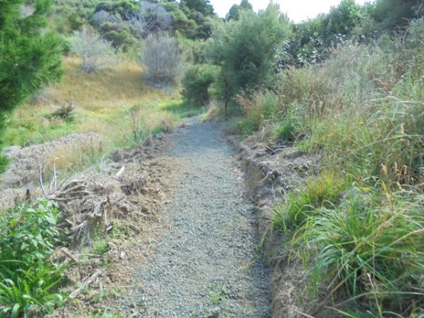 ???????????????????????????????