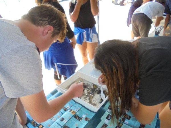 ???????????????????????????????