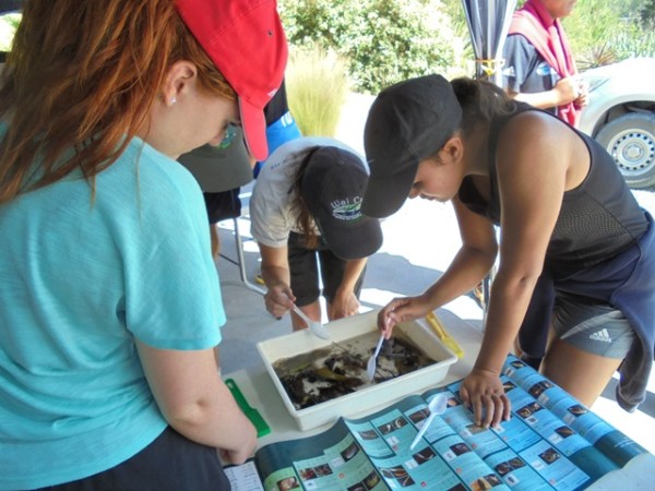 ???????????????????????????????